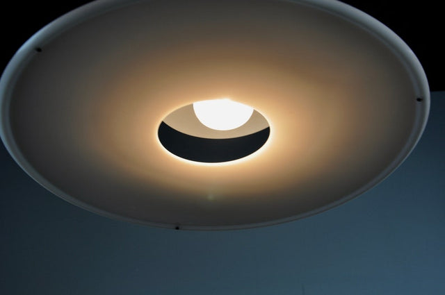 Halo Disc Pendant Light