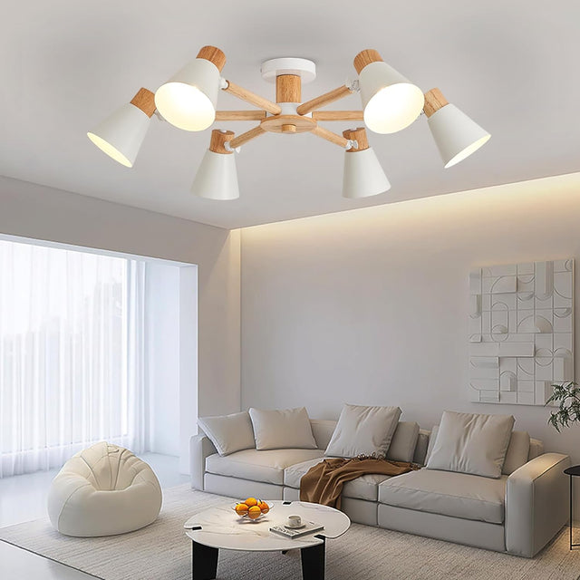 Modern living room with a ceiling light fixture, sofa, and coffee table.