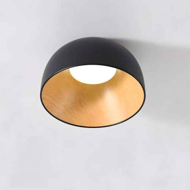 Obsidia Dome Ceiling Light